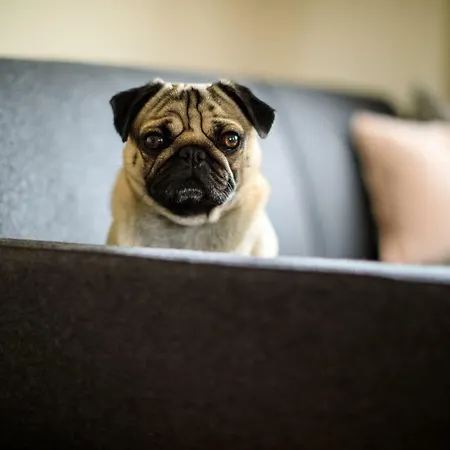 Laura's Smart Apartment Innsbruck