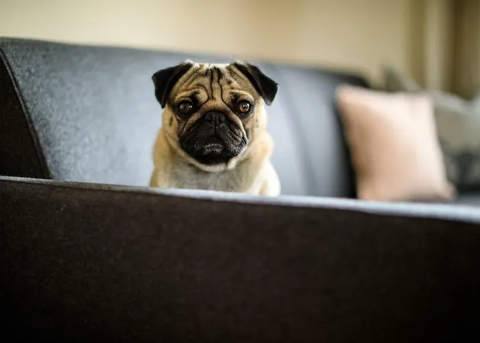 Laura's Smart Apartment Innsbruck